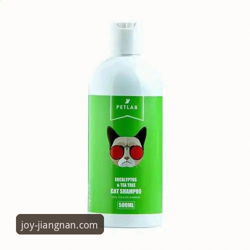 掌握江南体育平台登录的实用技巧：新手必备操作指南