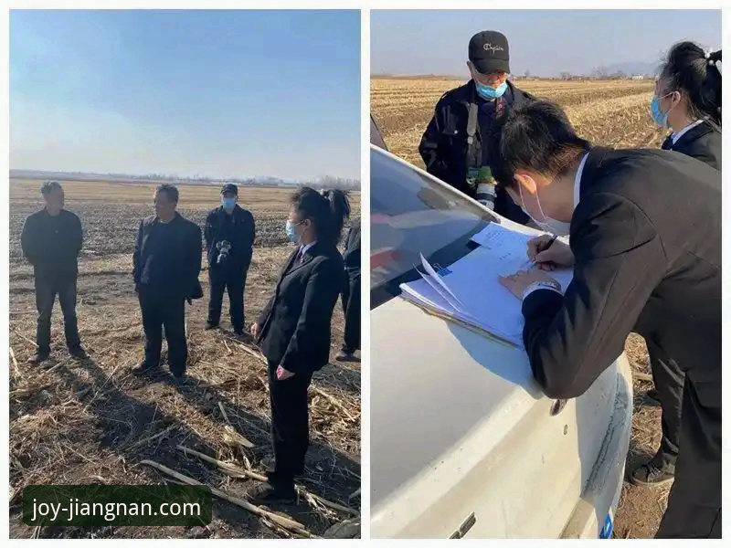 从“金元足球”到法庭审判，体育迷如何在信息洪流中看清本质？